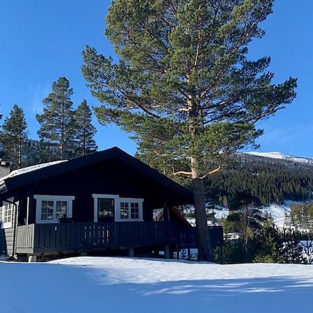Uvdalhytta - Close To Cross Country And Downhill Skiing Sonstebo エクステリア 写真
