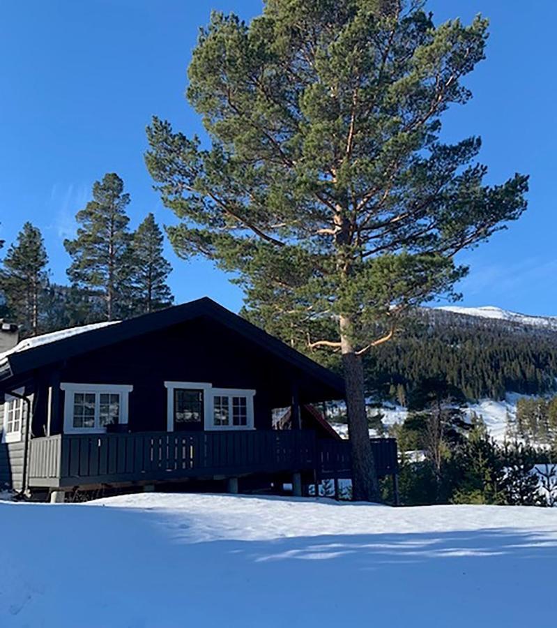 Uvdalhytta - Close To Cross Country And Downhill Skiing Sonstebo エクステリア 写真