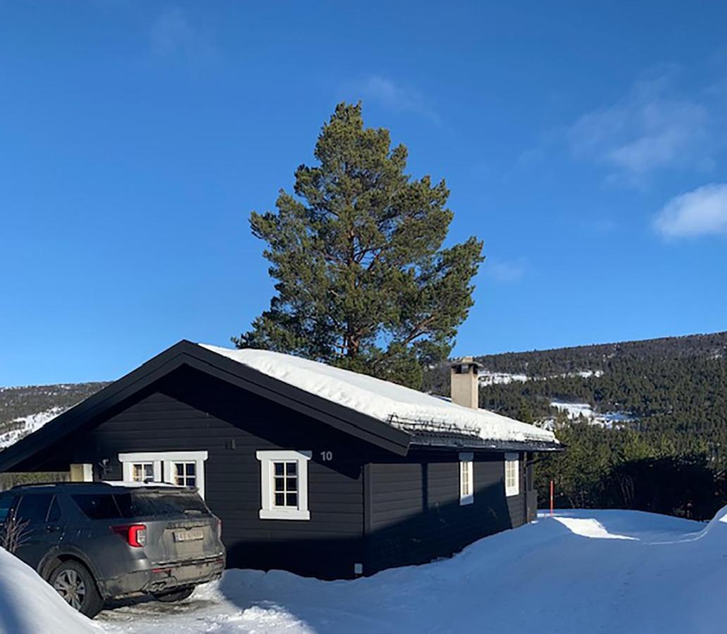 Uvdalhytta - Close To Cross Country And Downhill Skiing Sonstebo エクステリア 写真