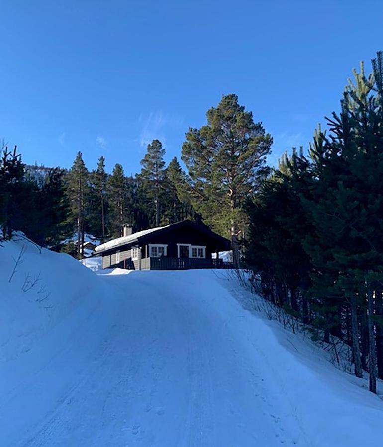 Uvdalhytta - Close To Cross Country And Downhill Skiing Sonstebo エクステリア 写真